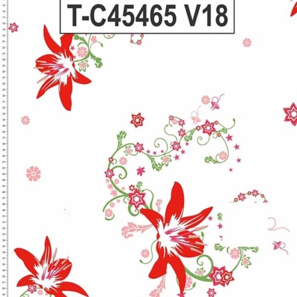 T-C45465 - Imagem 16