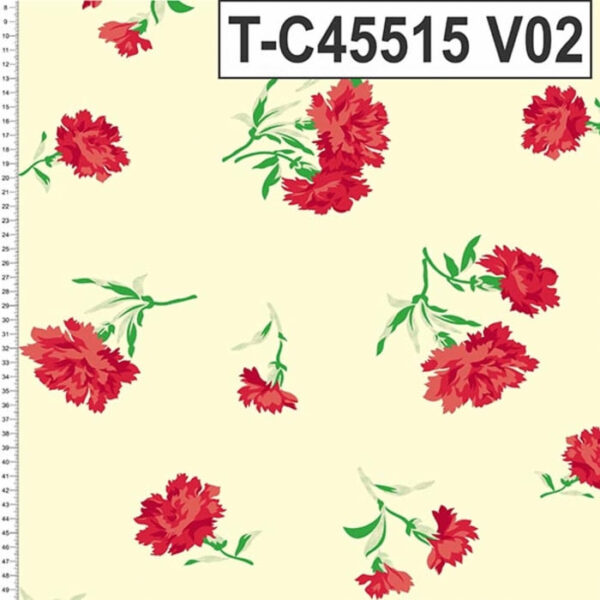 T-C45515 - Imagem 14
