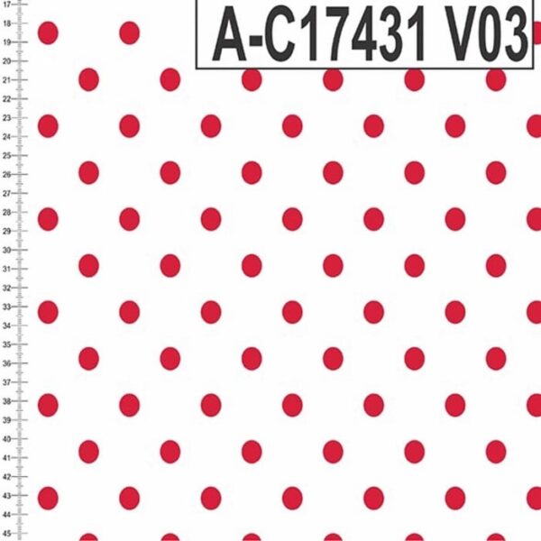 A-C17431 - Imagem 11