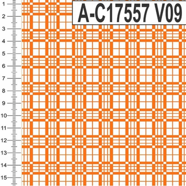 A-C17557 - Imagem 12