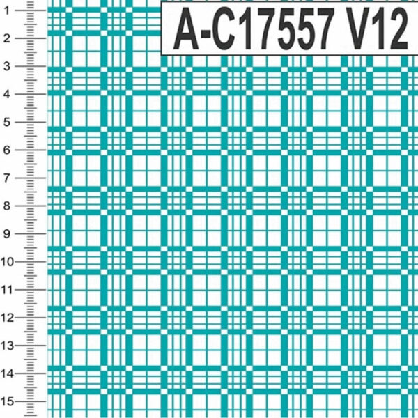 A-C17557 - Imagem 15