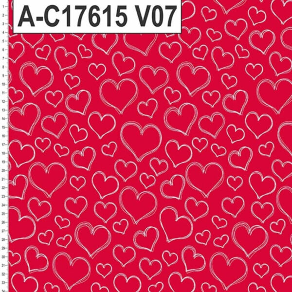 A-C17615 - Imagem 12