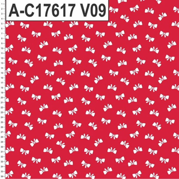 A-C17617 - Imagem 11