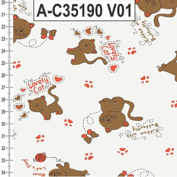 A-C35190 - Imagem 6