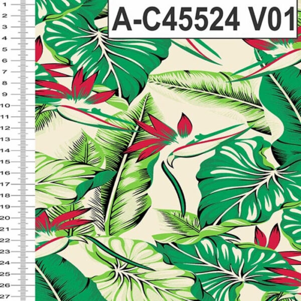 A-C45524 - Imagem 9
