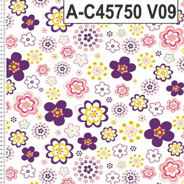 A-C45750 - Imagem 10