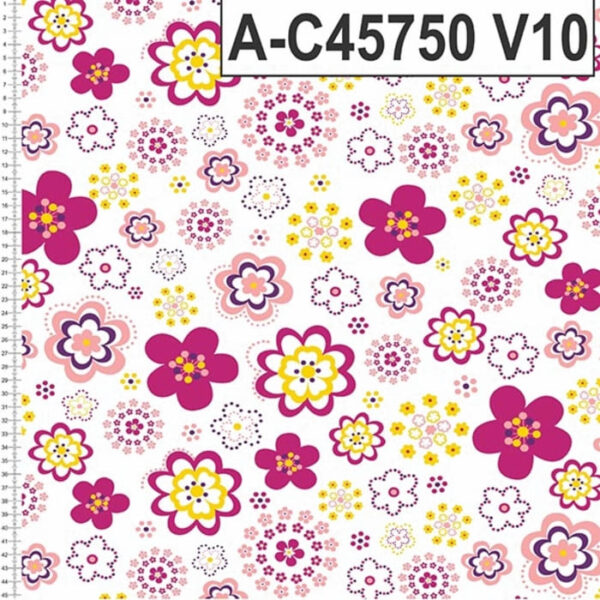 A-C45750 - Imagem 11