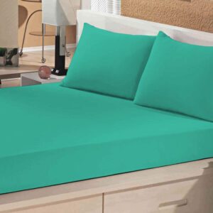 Menta 572