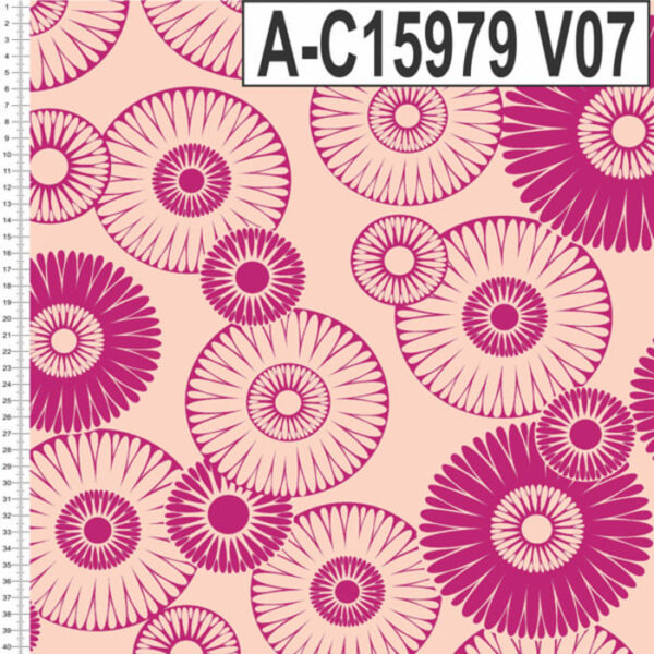 A-C15979 - Imagem 2