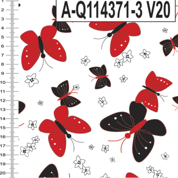 A-Q114371-3 - Imagem 6
