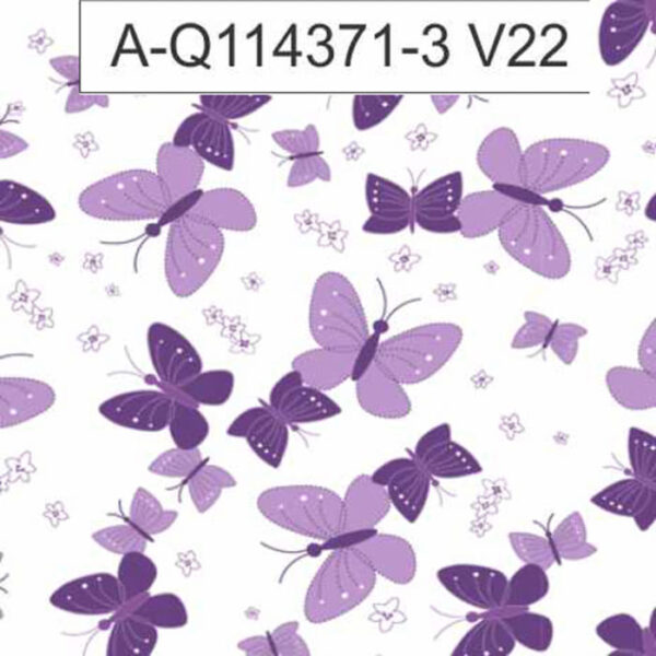 A-Q114371-3 - Imagem 4
