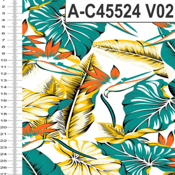 A-C45524 - Imagem 2