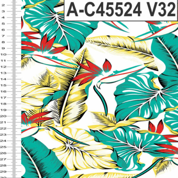 A-C45524 - Imagem 3