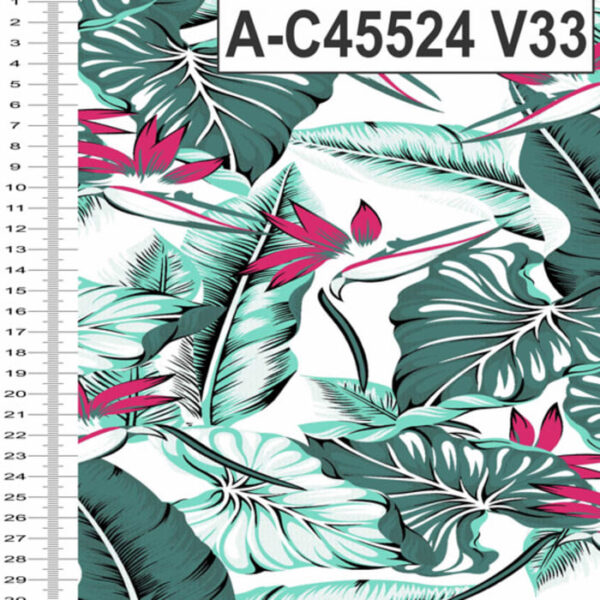 A-C45524 - Imagem 4