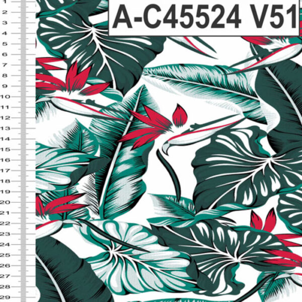 A-C45524 - Imagem 5