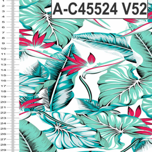 A-C45524 - Imagem 6