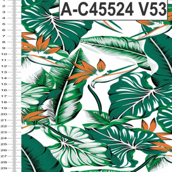 A-C45524 - Imagem 7