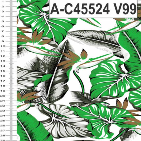 A-C45524 - Imagem 8