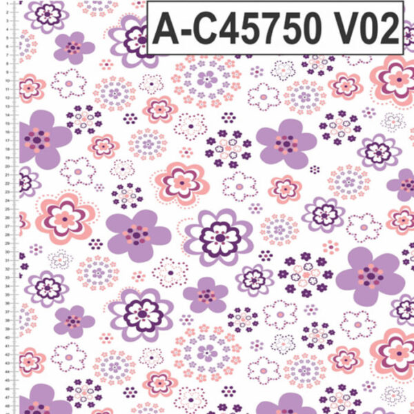 A-C45750 - Imagem 2
