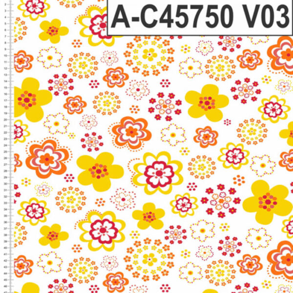 A-C45750 - Imagem 3