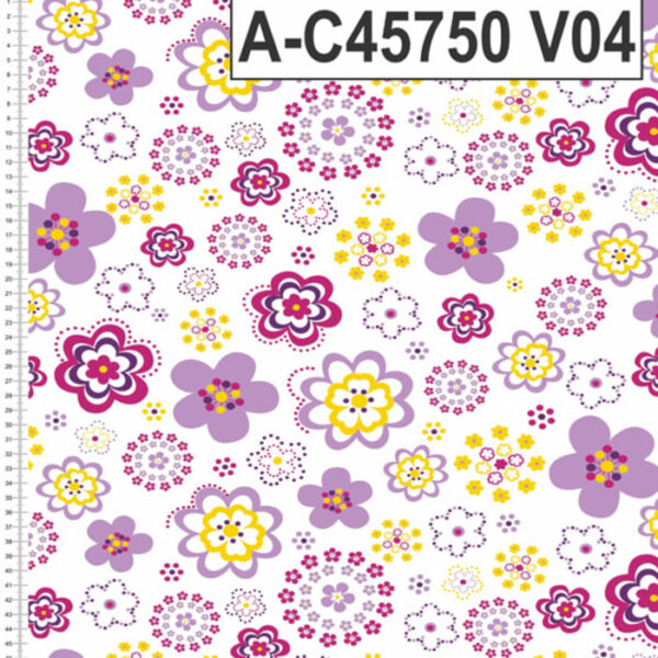 A-C45750 - Imagem 4
