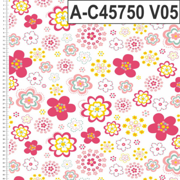 A-C45750 - Imagem 5