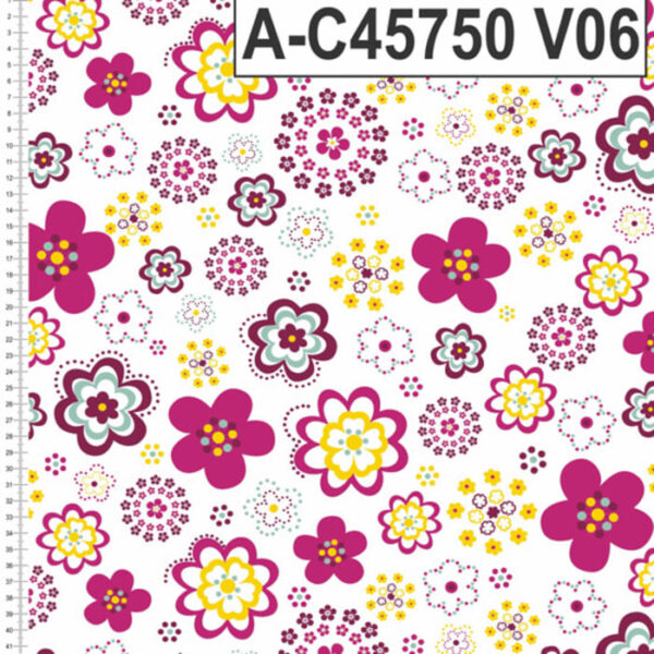 A-C45750 - Imagem 6