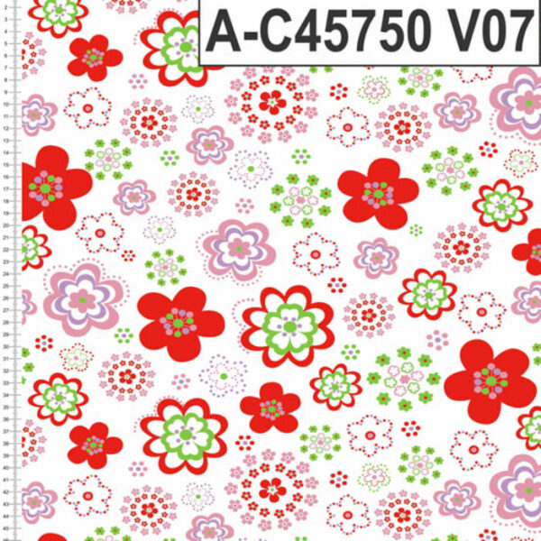 A-C45750 - Imagem 7