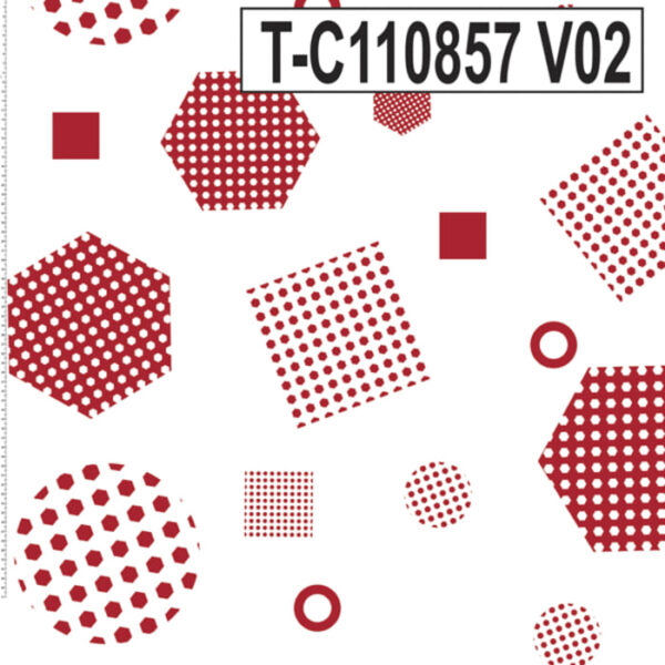 T-C110857 - Imagem 2