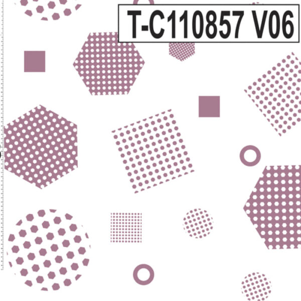 T-C110857 - Imagem 4