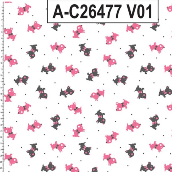 A-C26477 - Imagem 3