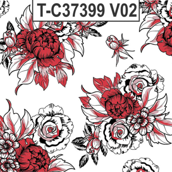 T-C37399 - Imagem 2