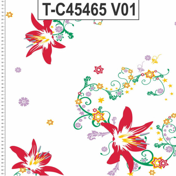 T-C45465 - Imagem 2