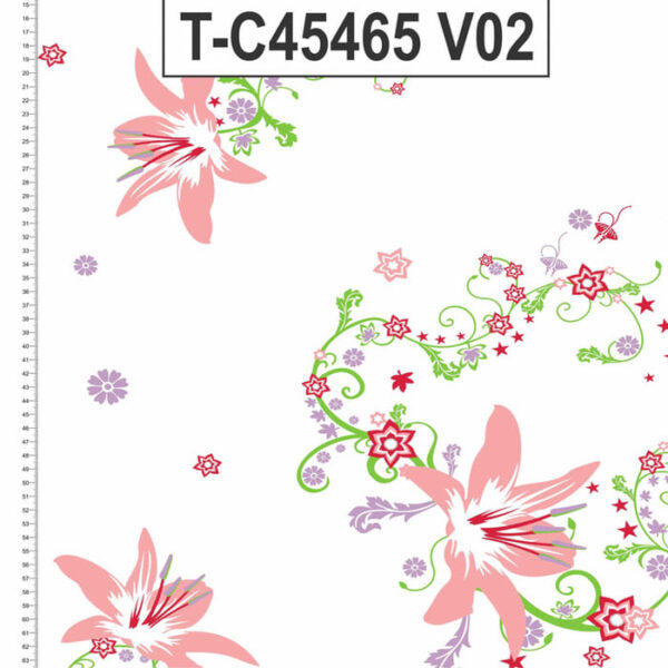 T-C45465 - Imagem 3