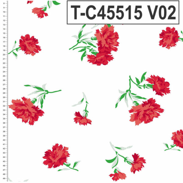 T-C45515 - Imagem 3