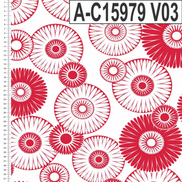 A-C15979 - Imagem 15