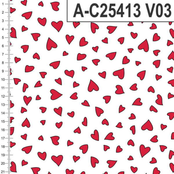 A-C25413 - Imagem 4