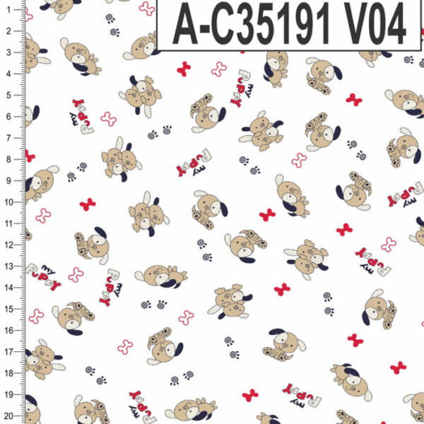 A-C35191 - Imagem 4