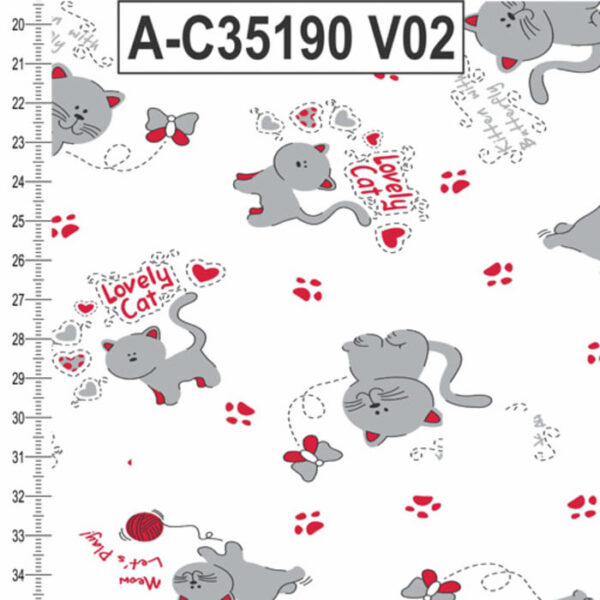 A-C35190 - Imagem 2
