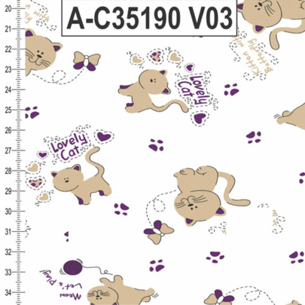 A-C35190 - Imagem 3
