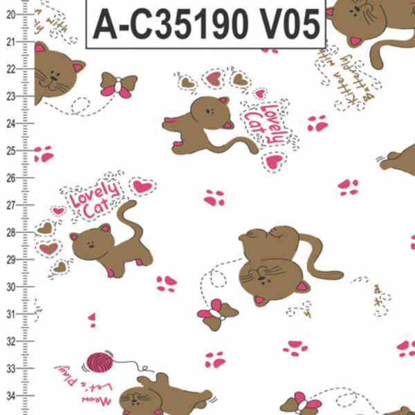 A-C35190 - Imagem 5