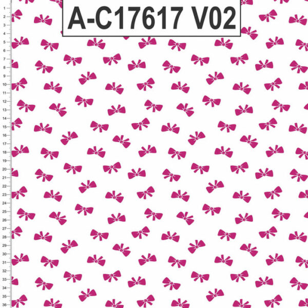 A-C17617 - Imagem 2