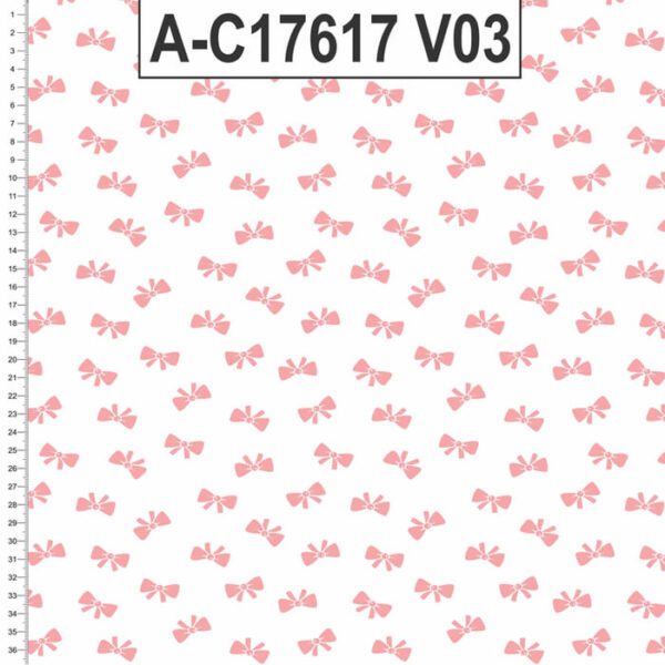 A-C17617 - Imagem 3