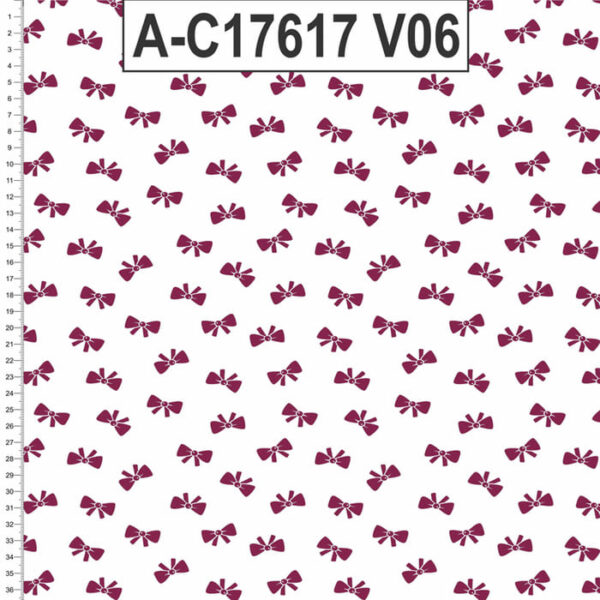 A-C17617 - Imagem 6