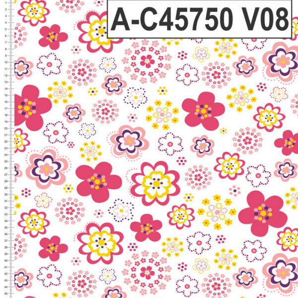 A-C45750 - Imagem 8