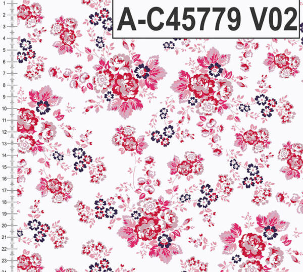 A-C45779 - Imagem 2