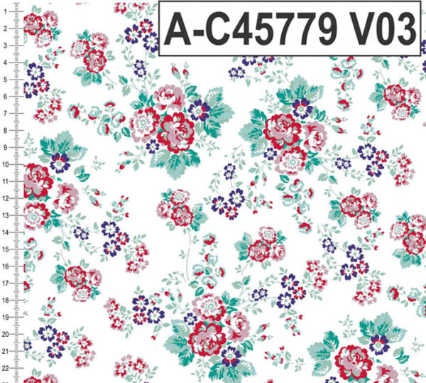 A-C45779 - Imagem 3