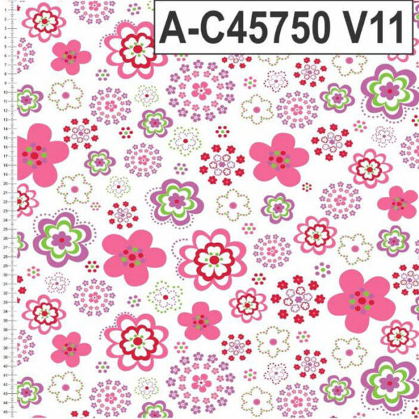 A-C45750 - Imagem 9