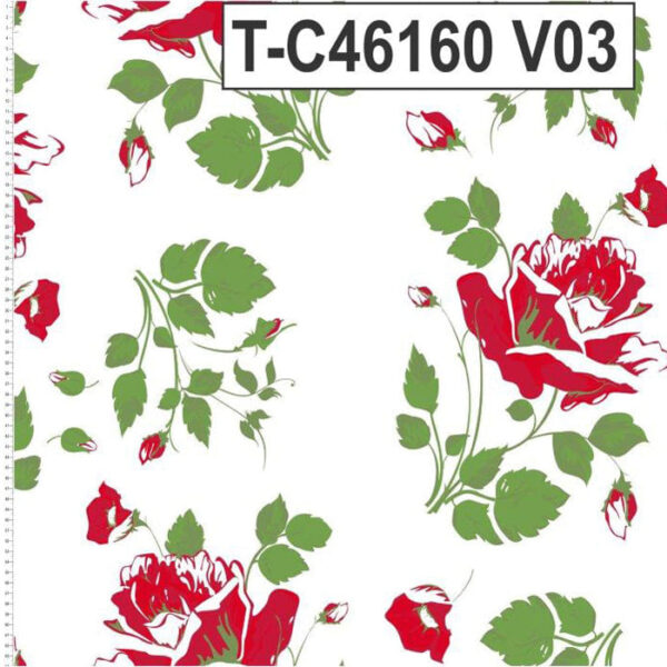 T-C46160 - Imagem 3