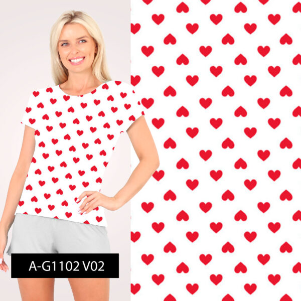 A-G1102 - Imagem 2